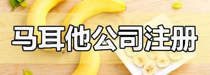 马耳他公司注册